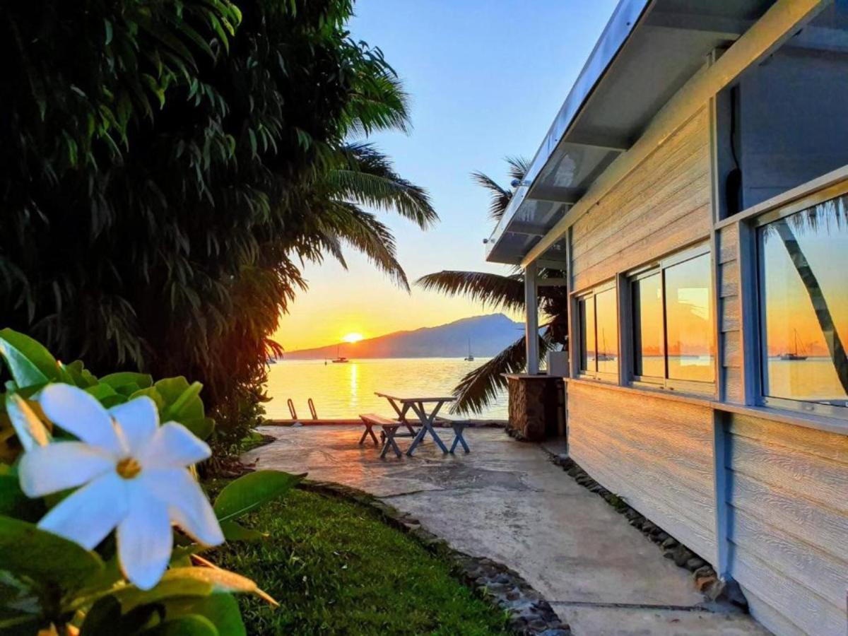 Moorea - Bungalow Chez Papou Afareaitu Екстериор снимка